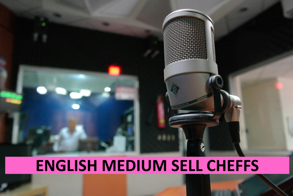 professional voice overs - English